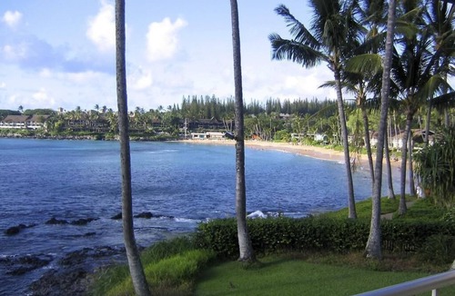 Napili Condo | Napili Shores A-201 - Ocean Front - Book Now!