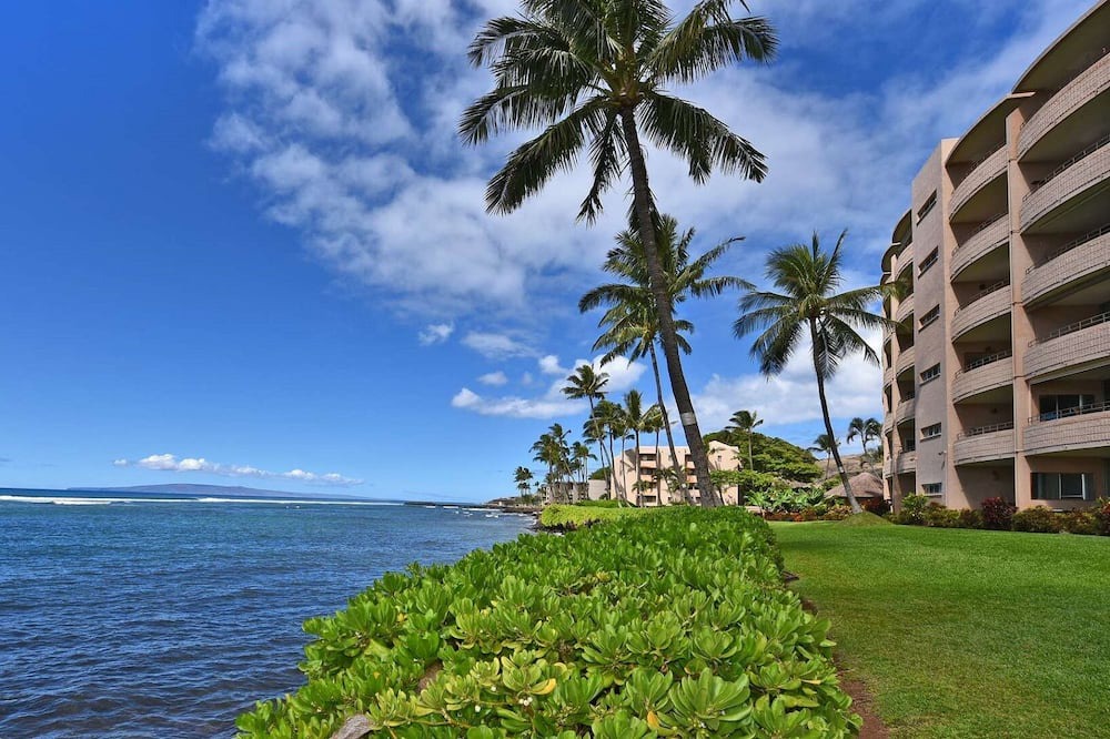 Photo of Others in Maalaea