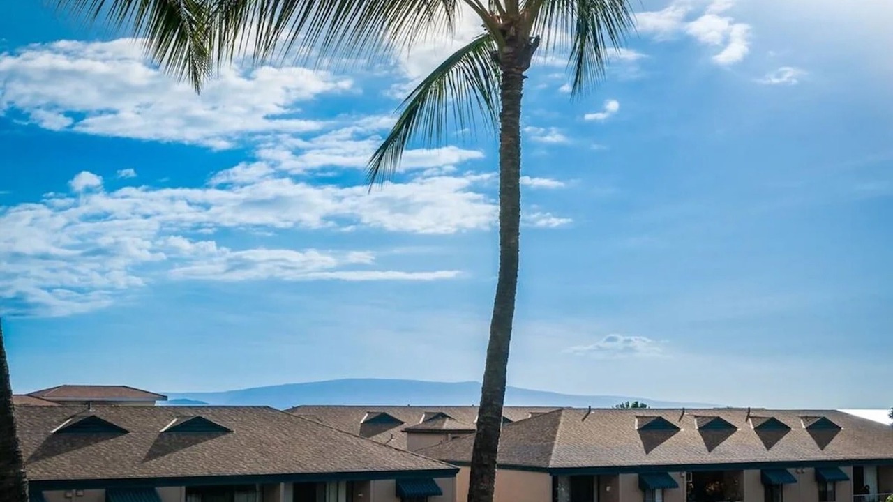 Photo of Others in Kihei