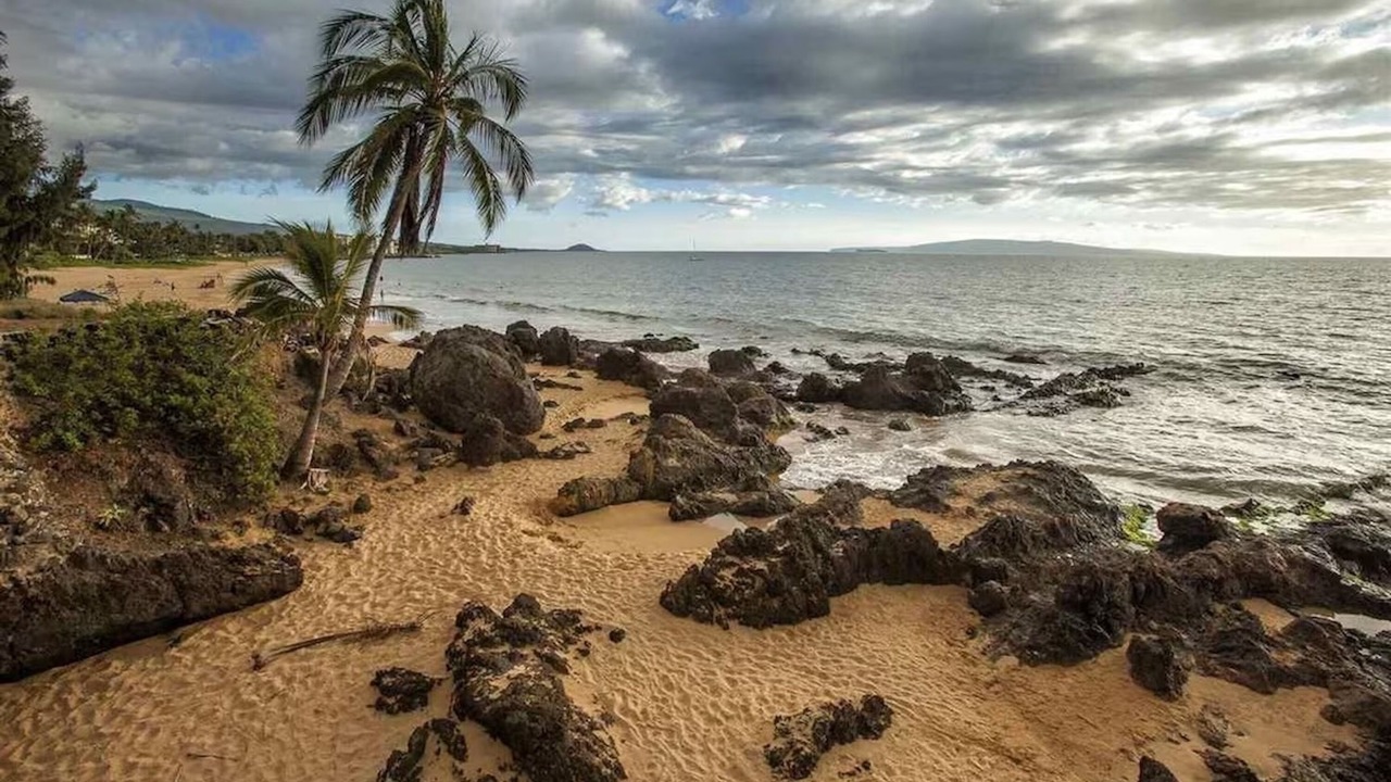 Photo of Others in Kihei