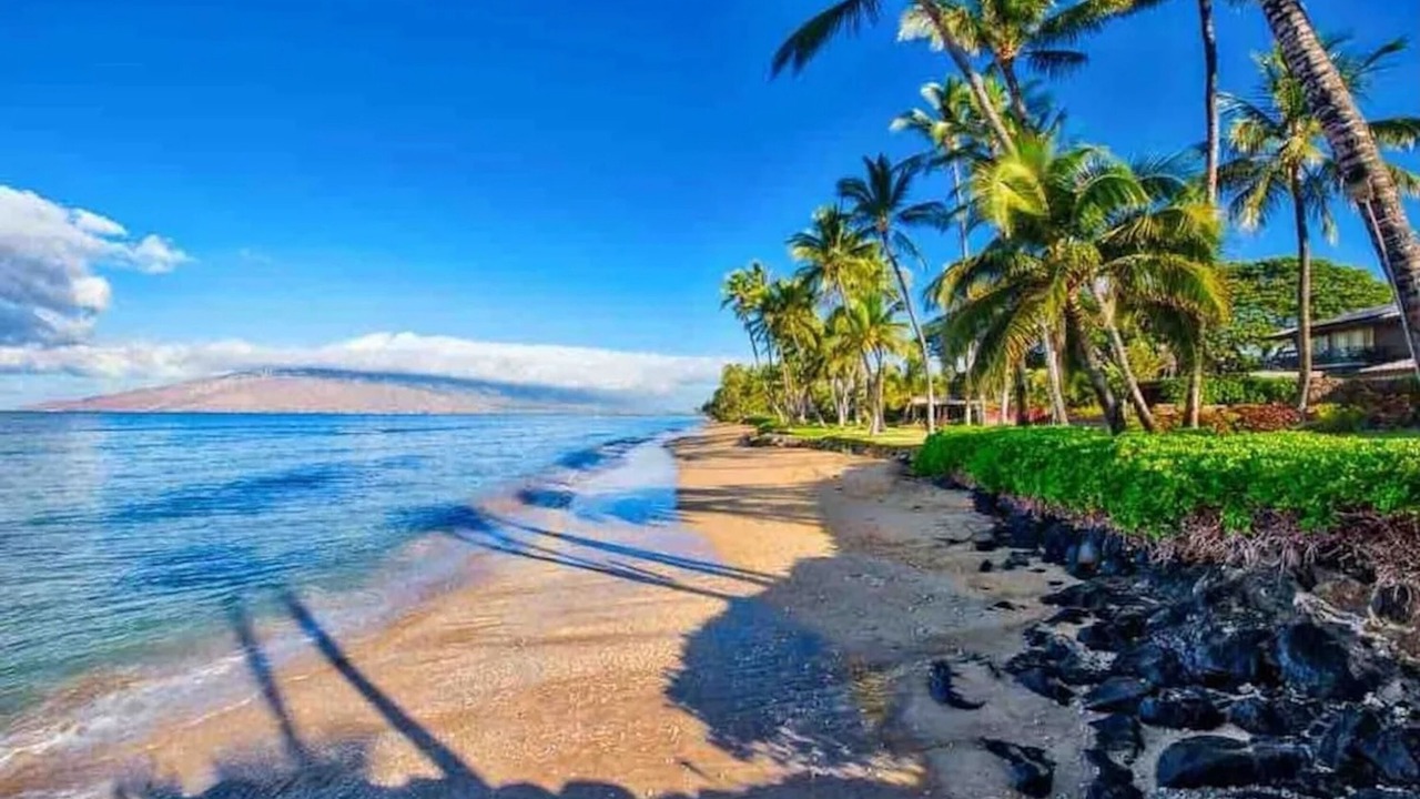 Photo of Others in Kihei