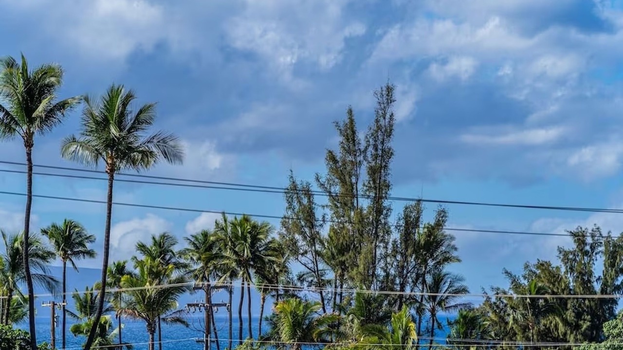 Photo of Others in Kihei