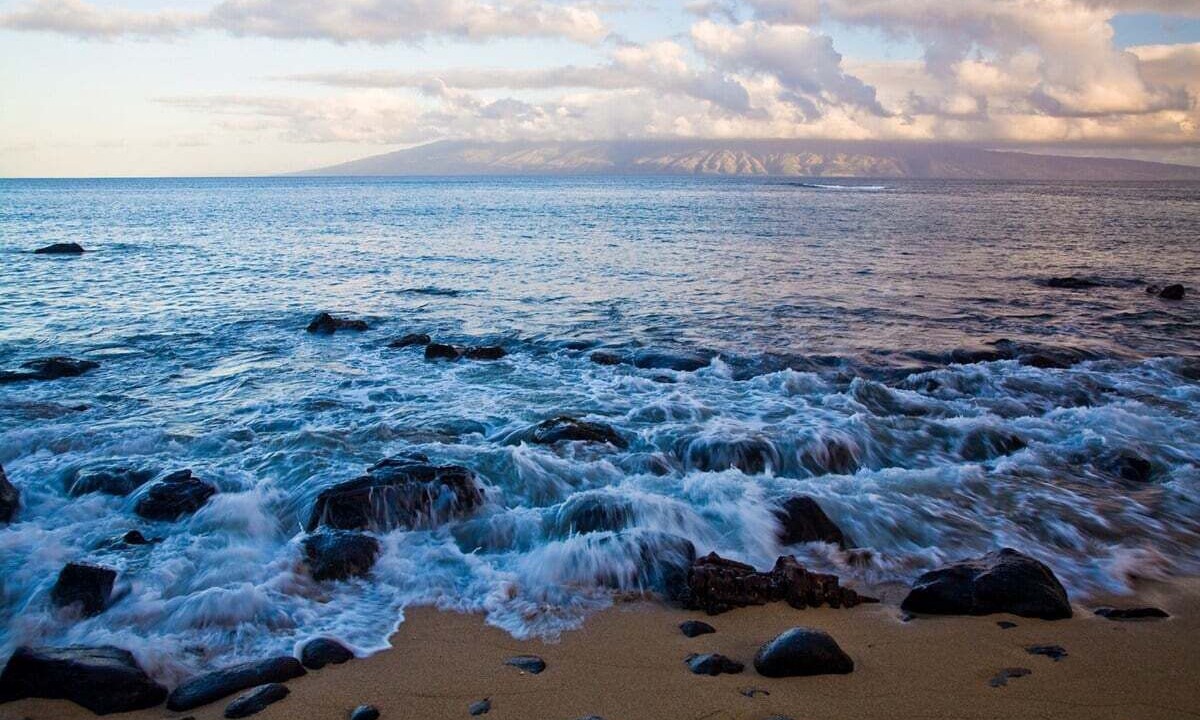 Photo of Others in Napili
