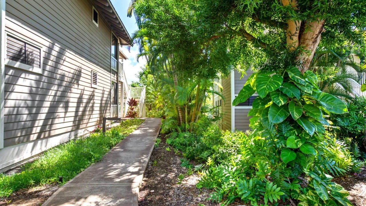 Photo of Outdoor in Wailea