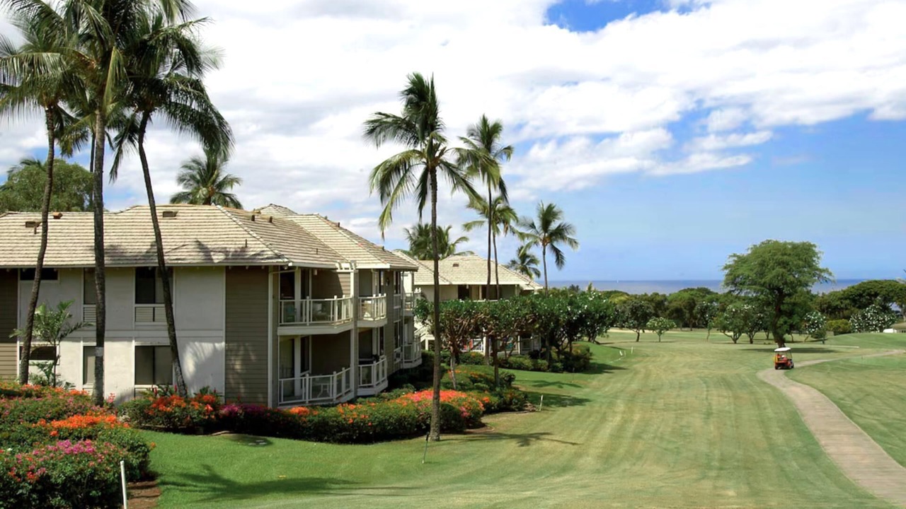 Photo of Outdoor in Wailea