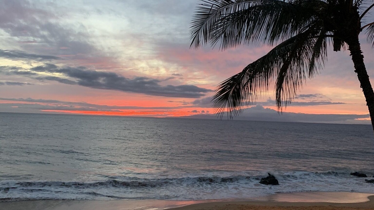 Photo of Others in Kihei