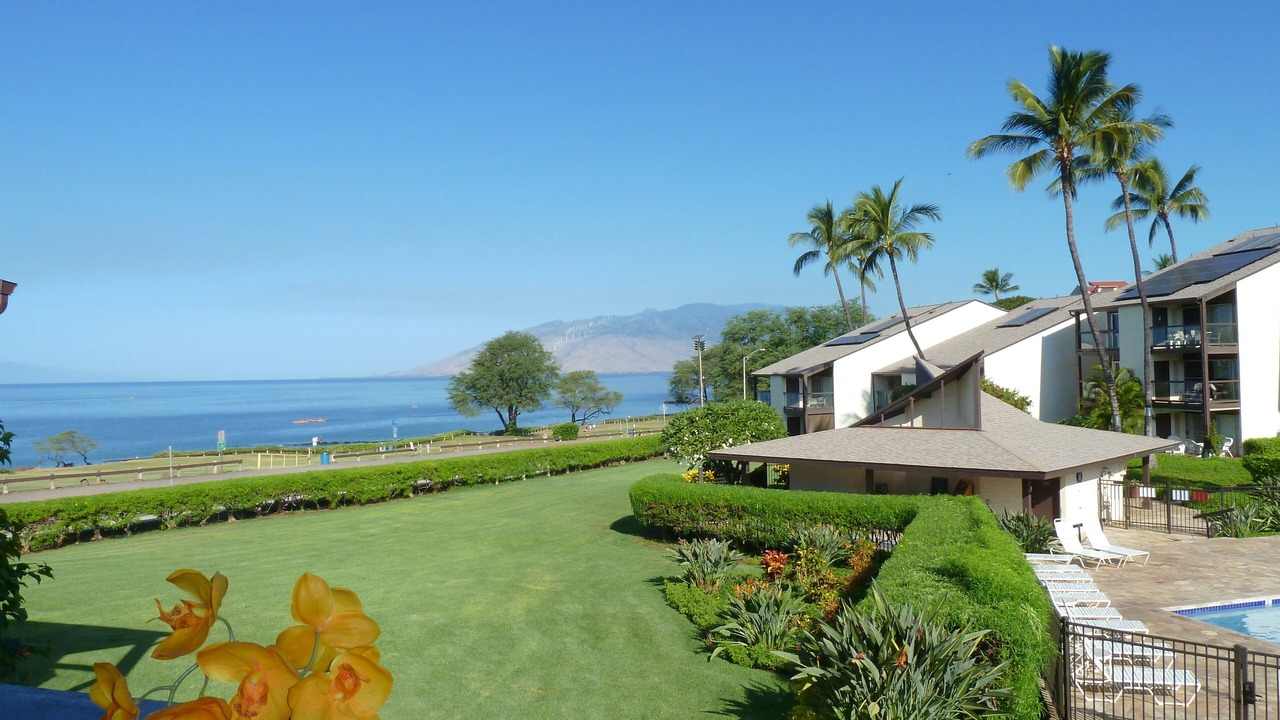 Photo of Others in Kihei