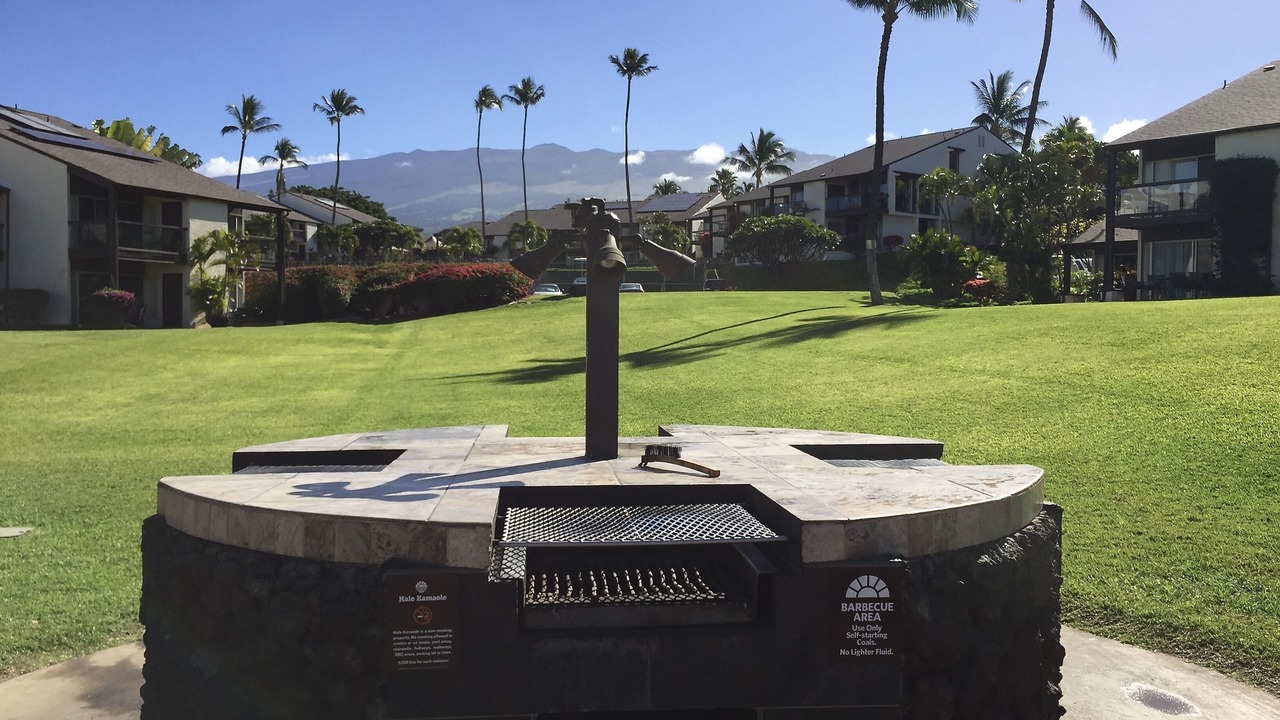 Photo of Others in Kihei