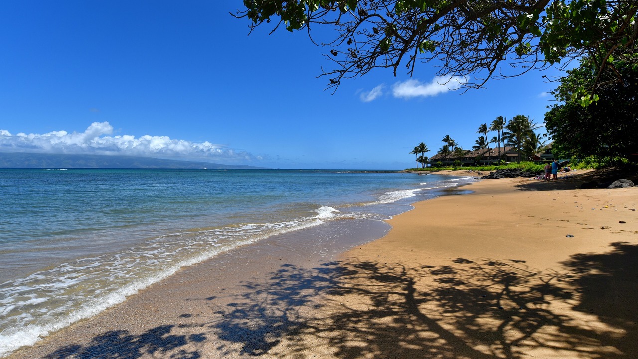 Photo of Others in Kahana