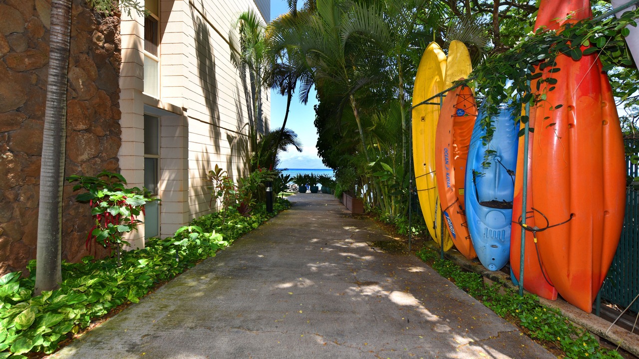Photo of Outdoor in Kahana