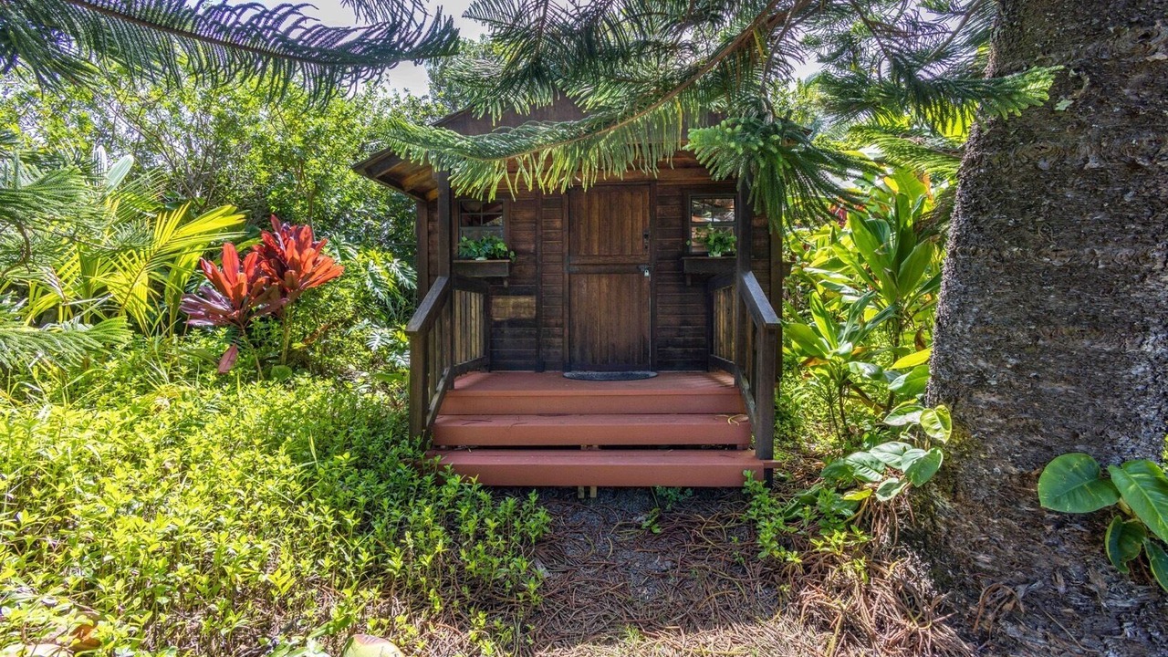 Photo of Outdoor in Haiku