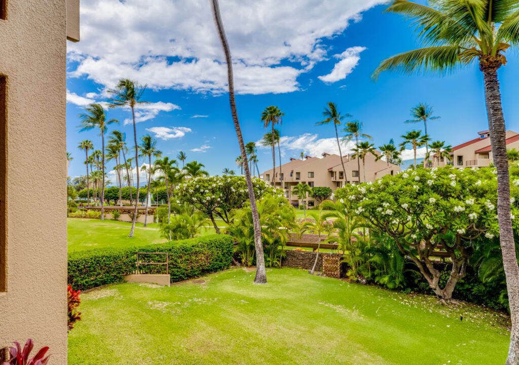 Photo of Outdoor in Kihei