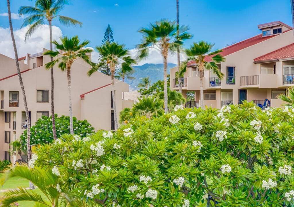 Photo of Outdoor in Kihei