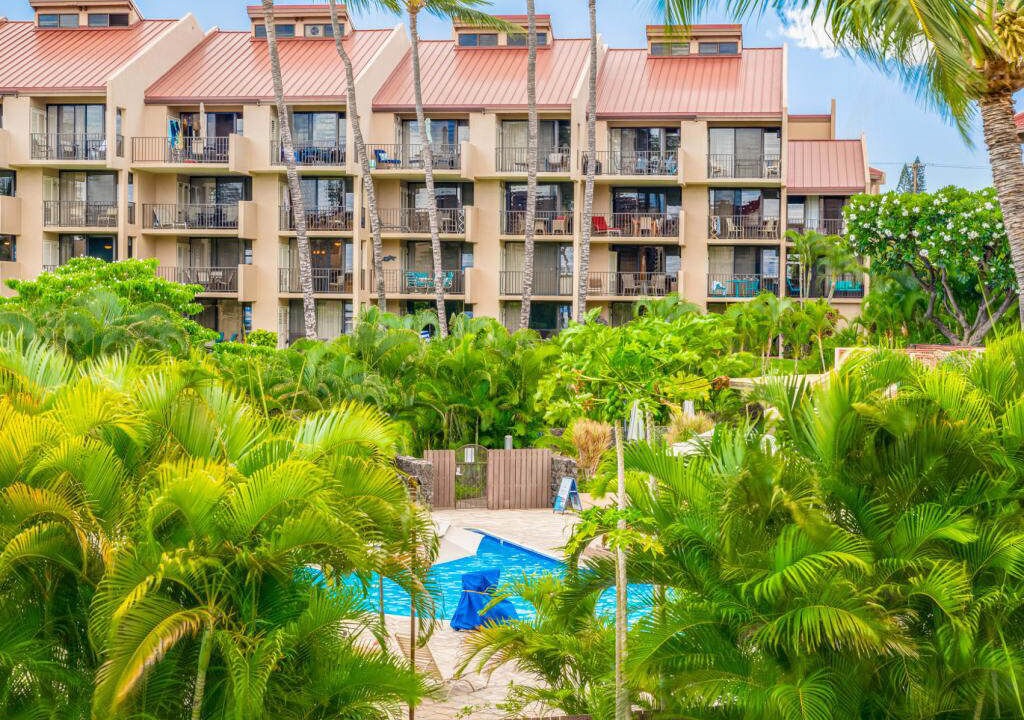 Photo of Outdoor in Kihei