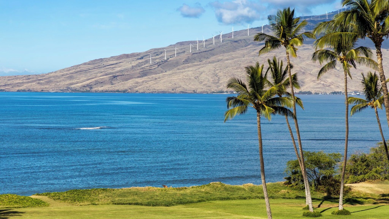 Photo of Outdoor in Kihei