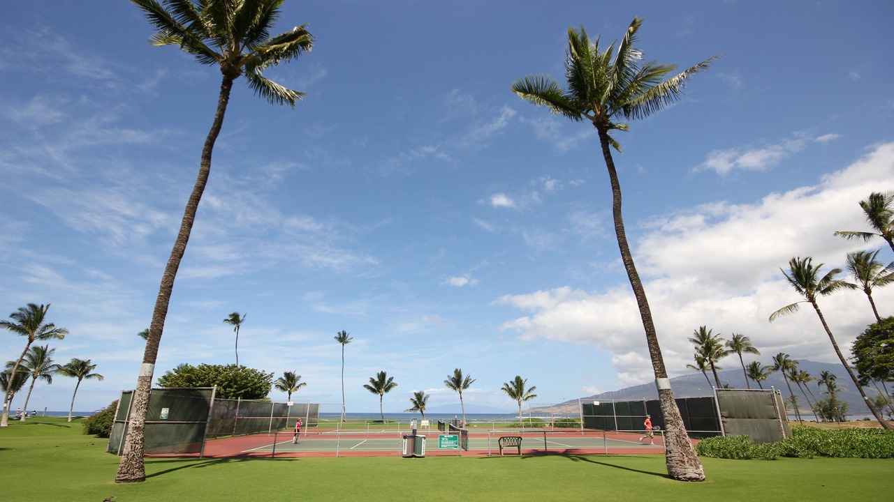 Photo of Others in Kihei