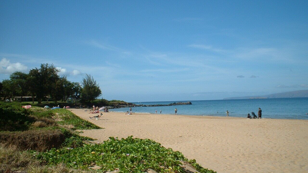 Photo of Others in Kihei